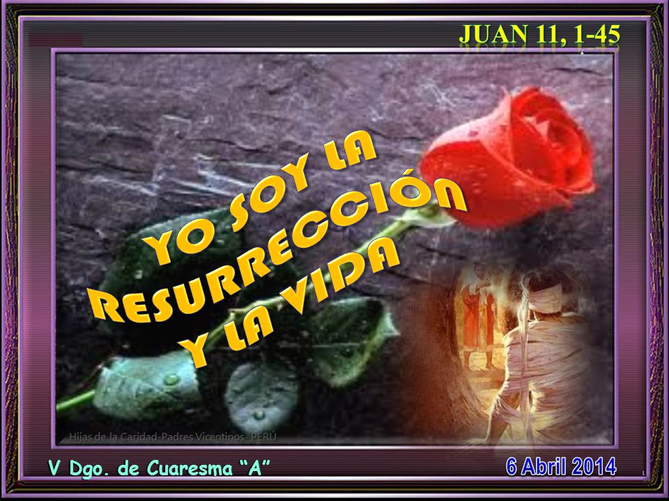 YO SOY LA RESURRECCIÓN Y LA VIDA Juan 11, Abril 2014