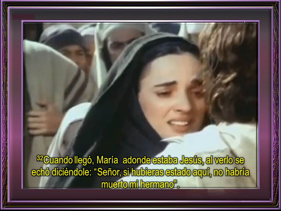 32Cuando llegó, María adonde estaba Jesús, al verlo se echó diciéndole: Señor, si hubieras estado aquí, no habría muerto mi hermano .