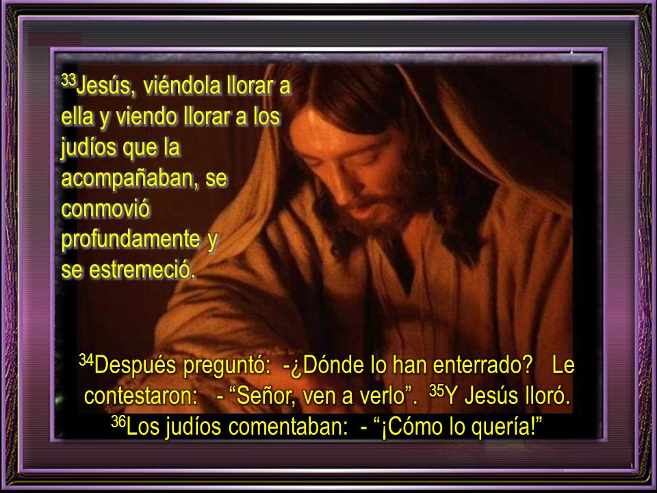 33Jesús, viéndola llorar a ella y viendo llorar a los judíos que la acompañaban, se conmovió