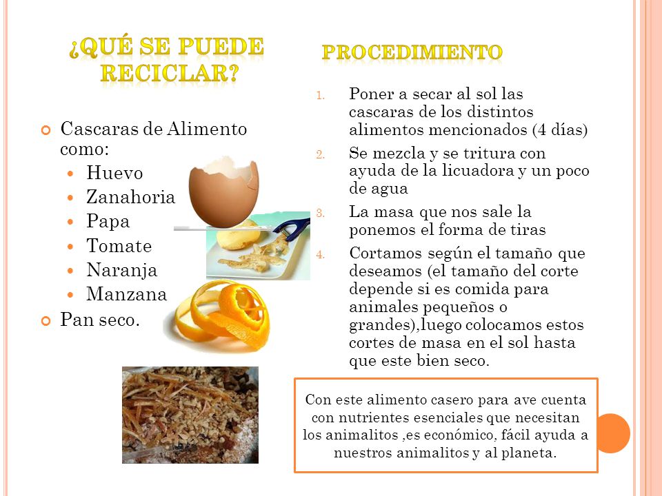 ¿Qué se puede reciclar Procedimiento Cascaras de Alimento como: Huevo