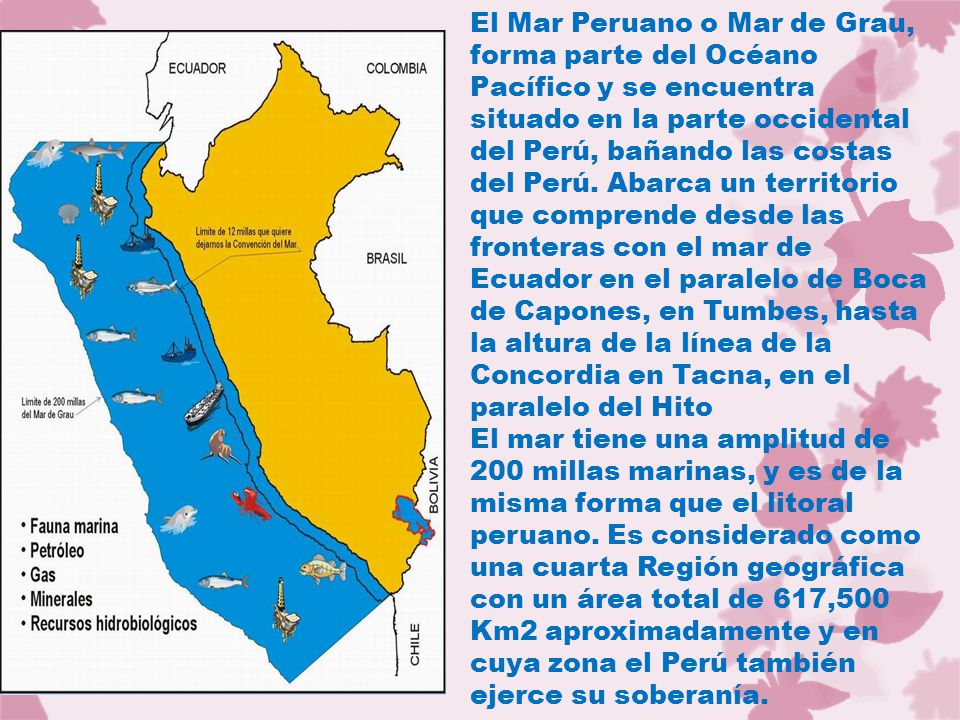 El Mar Peruano o Mar de Grau, forma parte del Océano Pacífico y se encuentra situado en la parte occidental del Perú, bañando las costas del Perú. Abarca un territorio que comprende desde las fronteras con el mar de Ecuador en el paralelo de Boca de Capones, en Tumbes, hasta la altura de la línea de la Concordia en Tacna, en el paralelo del Hito