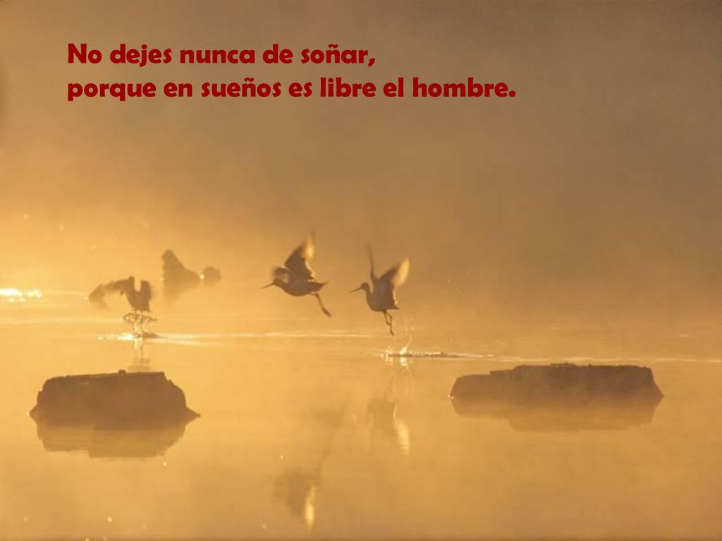 No dejes nunca de soñar, porque en sueños es libre el hombre.