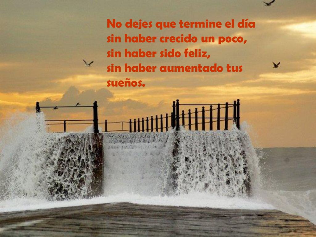 No dejes que termine el día sin haber crecido un poco, sin haber sido feliz, sin haber aumentado tus sueños.