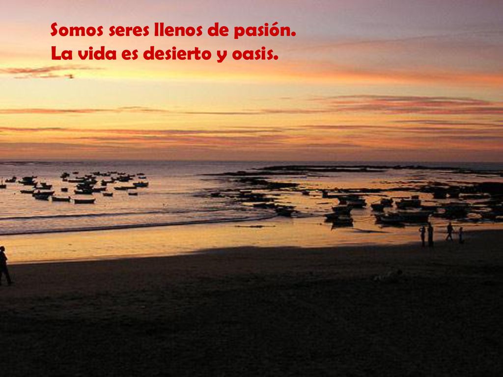 Somos seres llenos de pasión. La vida es desierto y oasis.
