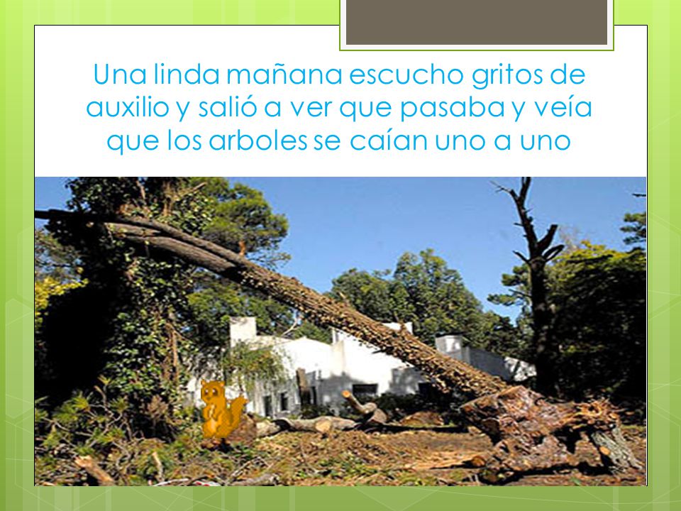 Una linda mañana escucho gritos de auxilio y salió a ver que pasaba y veía que los arboles se caían uno a uno