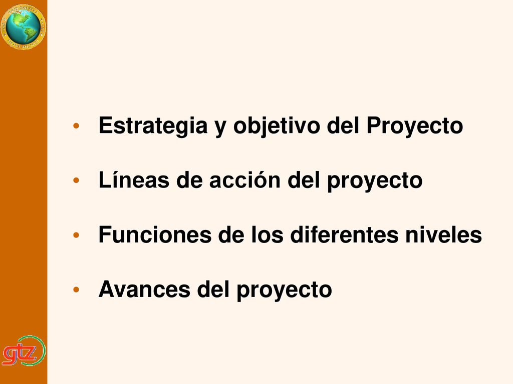 Estrategia y objetivo del Proyecto Líneas de acción del proyecto