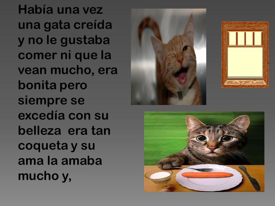 Había una vez una gata creída y no le gustaba comer ni que la vean mucho, era bonita pero siempre se excedía con su belleza era tan coqueta y su ama la amaba mucho y,