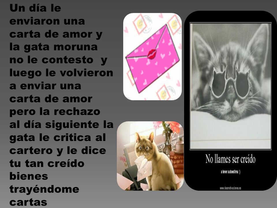 Un día le enviaron una carta de amor y la gata moruna no le contesto y luego le volvieron a enviar una carta de amor pero la rechazo al día siguiente la gata le critica al cartero y le dice tu tan creído bienes trayéndome cartas