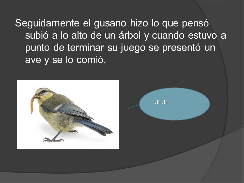Seguidamente el gusano hizo lo que pensó subió a lo alto de un árbol y cuando estuvo a punto de terminar su juego se presentó un ave y se lo comió.