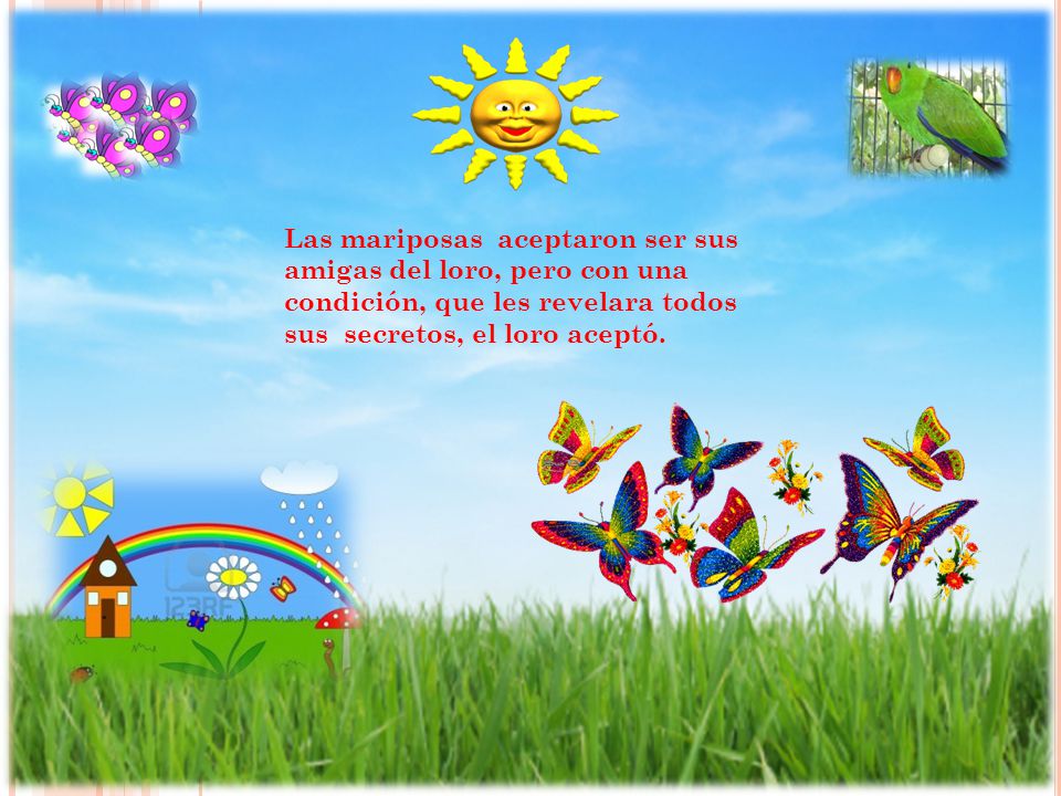 Las mariposas aceptaron ser sus amigas del loro, pero con una condición, que les revelara todos sus secretos, el loro aceptó.