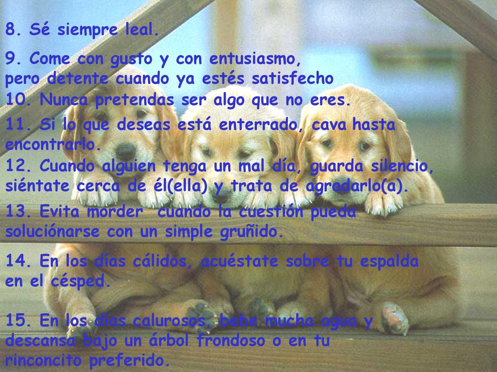 8. Sé siempre leal. 9. Come con gusto y con entusiasmo, pero detente cuando ya estés satisfecho.