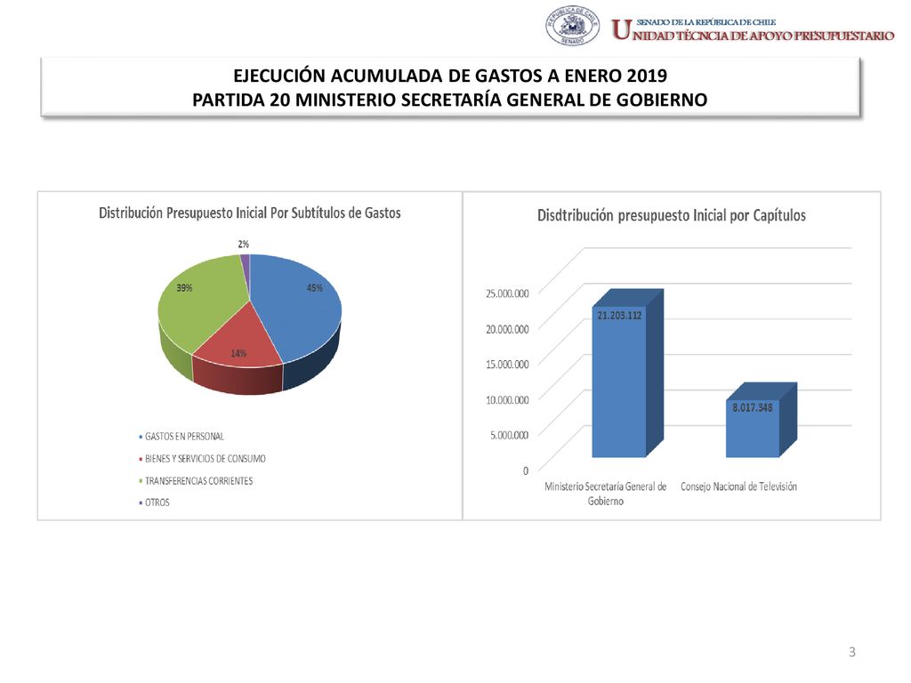 EJECUCIÓN ACUMULADA DE GASTOS A ENERO 2019 PARTIDA 20 MINISTERIO SECRETARÍA GENERAL DE GOBIERNO