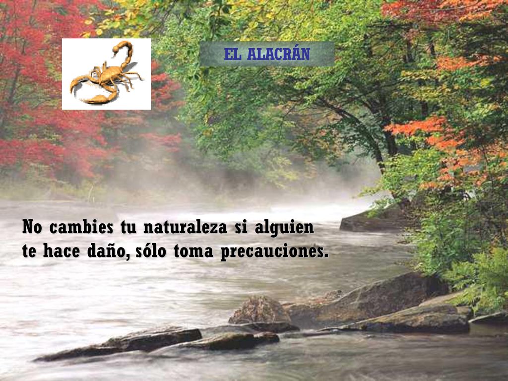 EL ALACRÁN No cambies tu naturaleza si alguien te hace daño, sólo toma precauciones.