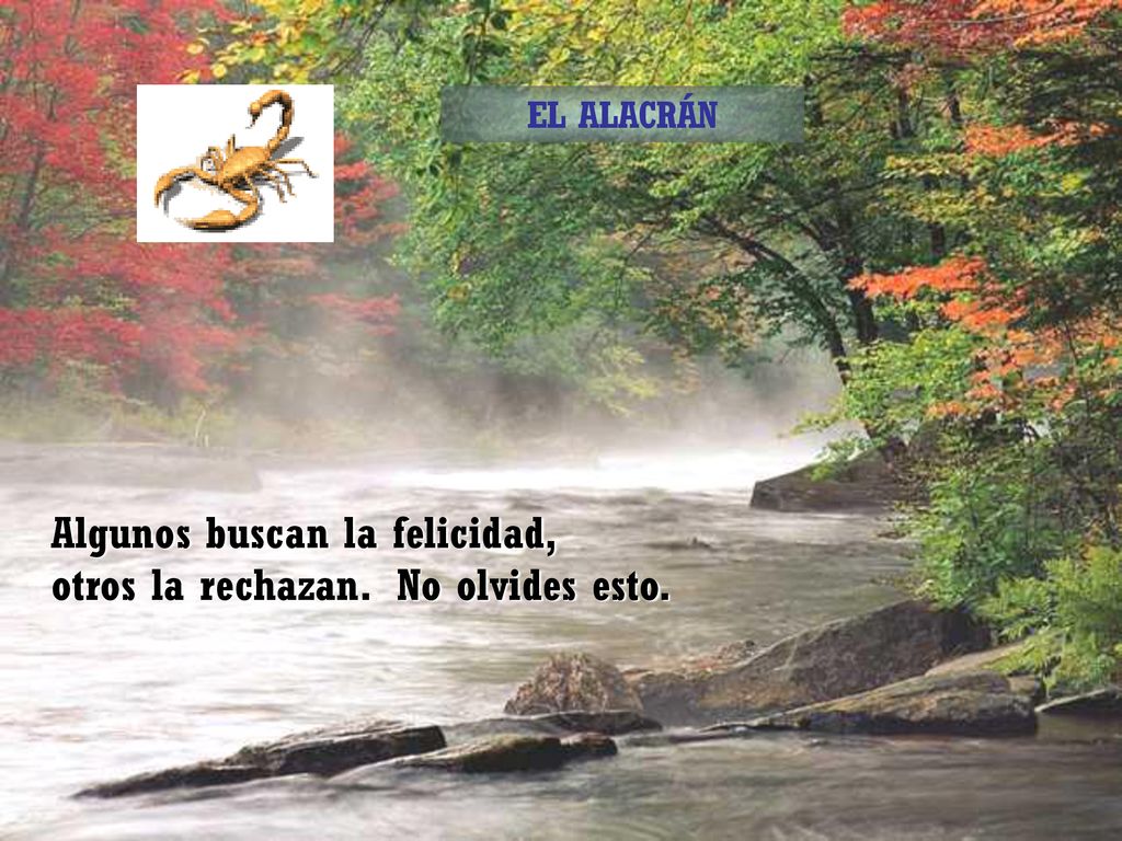 Algunos buscan la felicidad, otros la rechazan. No olvides esto.