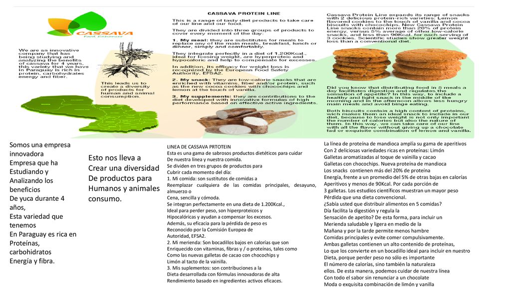 Esto nos lleva a Crear una diversidad De productos para