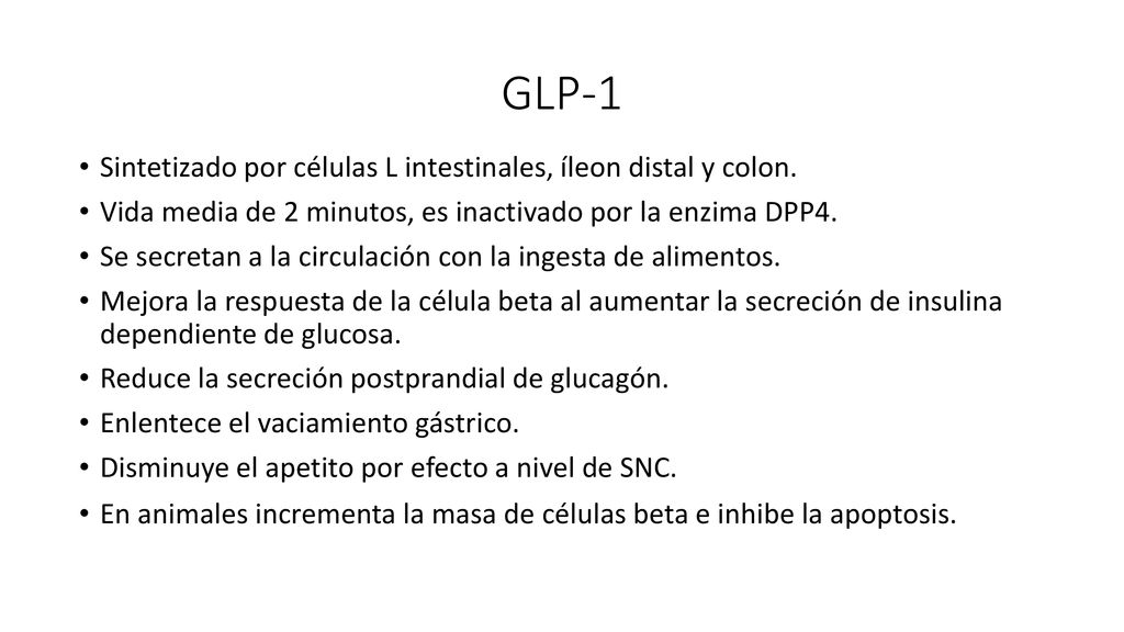 GLP-1 Sintetizado por células L intestinales, íleon distal y colon.