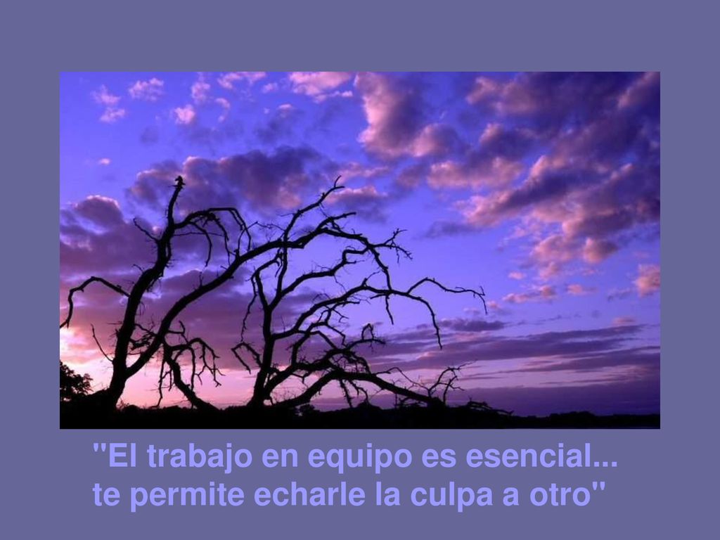 El trabajo en equipo es esencial... te permite echarle la culpa a otro