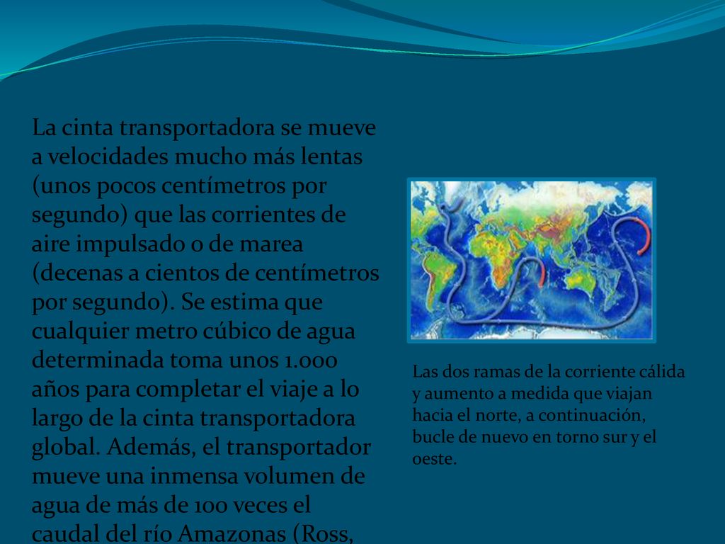 La cinta transportadora se mueve a velocidades mucho más lentas (unos pocos centímetros por segundo) que las corrientes de aire impulsado o de marea (decenas a cientos de centímetros por segundo). Se estima que cualquier metro cúbico de agua determinada toma unos años para completar el viaje a lo largo de la cinta transportadora global. Además, el transportador mueve una inmensa volumen de agua de más de 100 veces el caudal del río Amazonas (Ross, 1995).