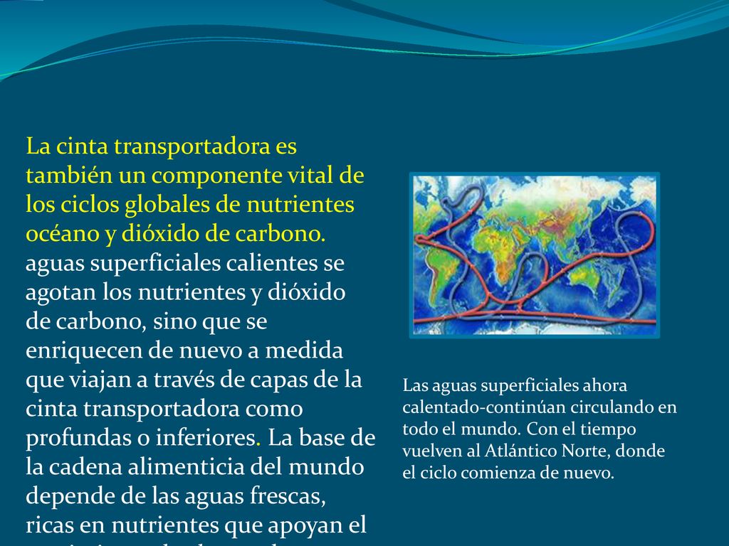 La cinta transportadora es también un componente vital de los ciclos globales de nutrientes océano y dióxido de carbono. aguas superficiales calientes se agotan los nutrientes y dióxido de carbono, sino que se enriquecen de nuevo a medida que viajan a través de capas de la cinta transportadora como profundas o inferiores. La base de la cadena alimenticia del mundo depende de las aguas frescas, ricas en nutrientes que apoyan el crecimiento de algas y algas marinas.
