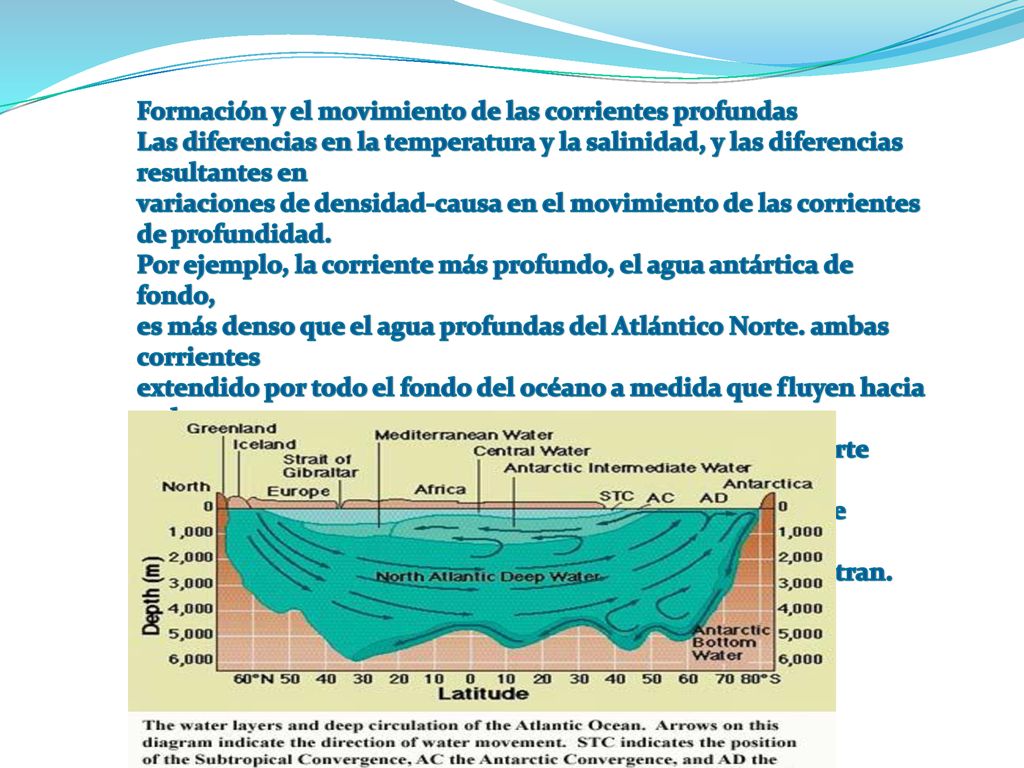 Formación y el movimiento de las corrientes profundas