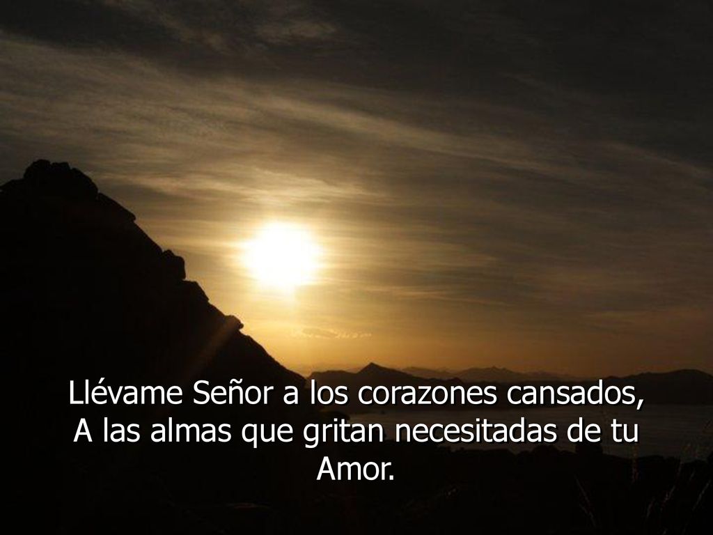 Llévame Señor a los corazones cansados,