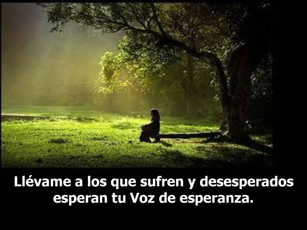 Llévame a los que sufren y desesperados esperan tu Voz de esperanza.