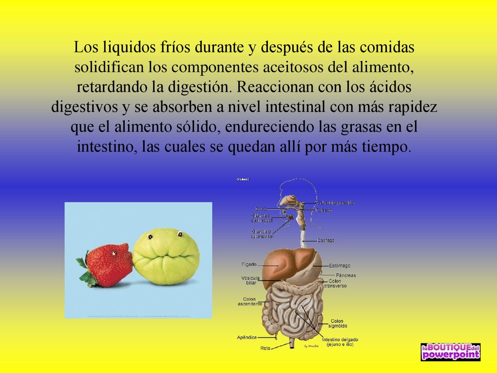 Los liquidos fríos durante y después de las comidas solidifican los componentes aceitosos del alimento, retardando la digestión.