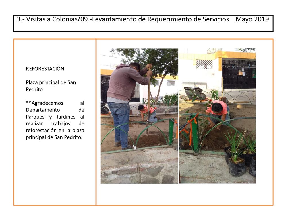 3.- Visitas a Colonias/09.-Levantamiento de Requerimiento de Servicios Mayo 2019