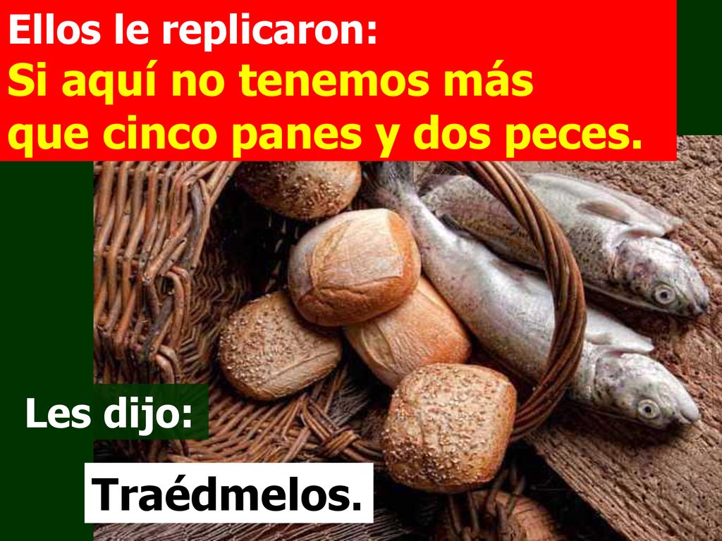 Ellos le replicaron: Si aquí no tenemos más que cinco panes y dos peces.