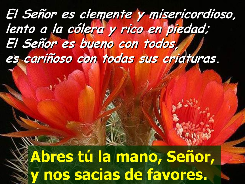 Abres tú la mano, Señor, y nos sacias de favores.