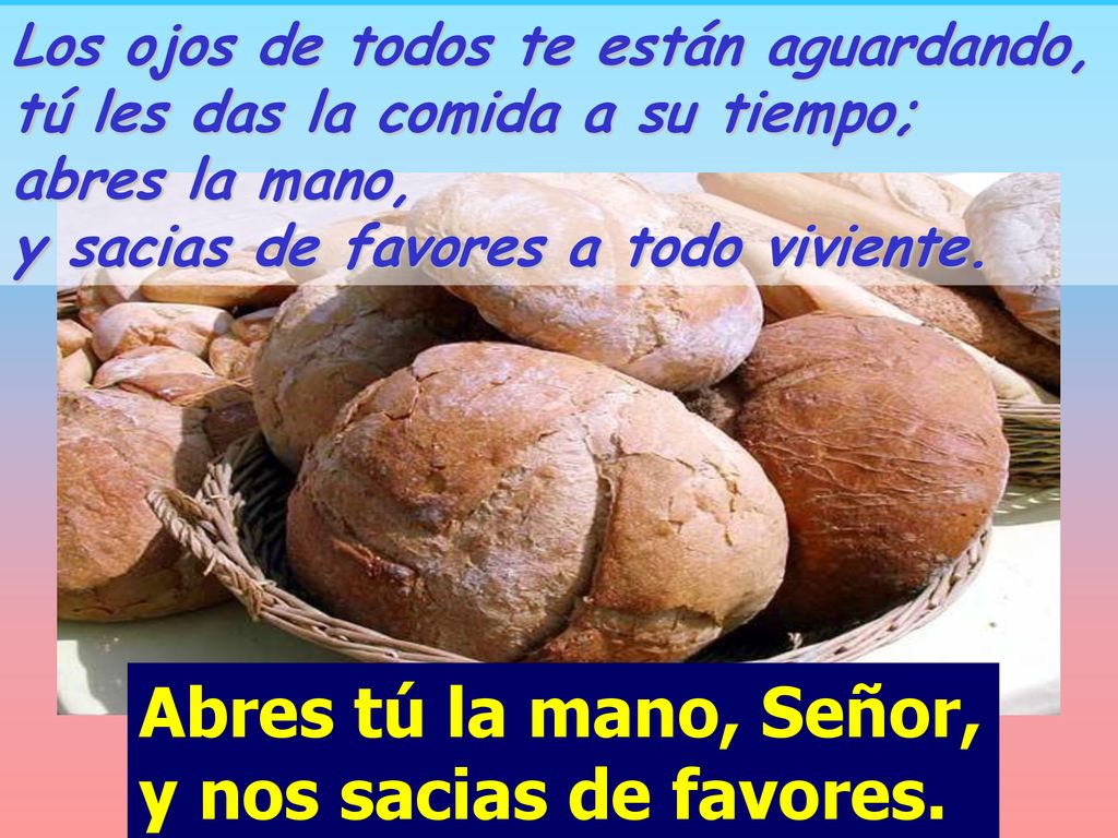 Abres tú la mano, Señor, y nos sacias de favores.