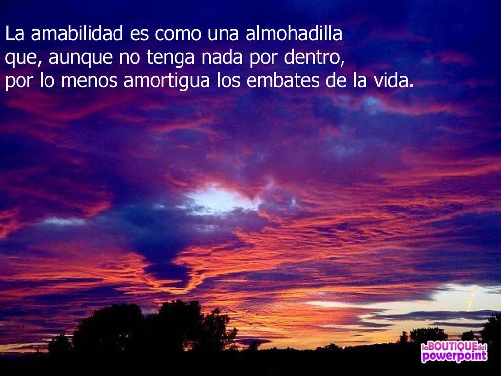 La amabilidad es como una almohadilla que, aunque no tenga nada por dentro, por lo menos amortigua los embates de la vida.