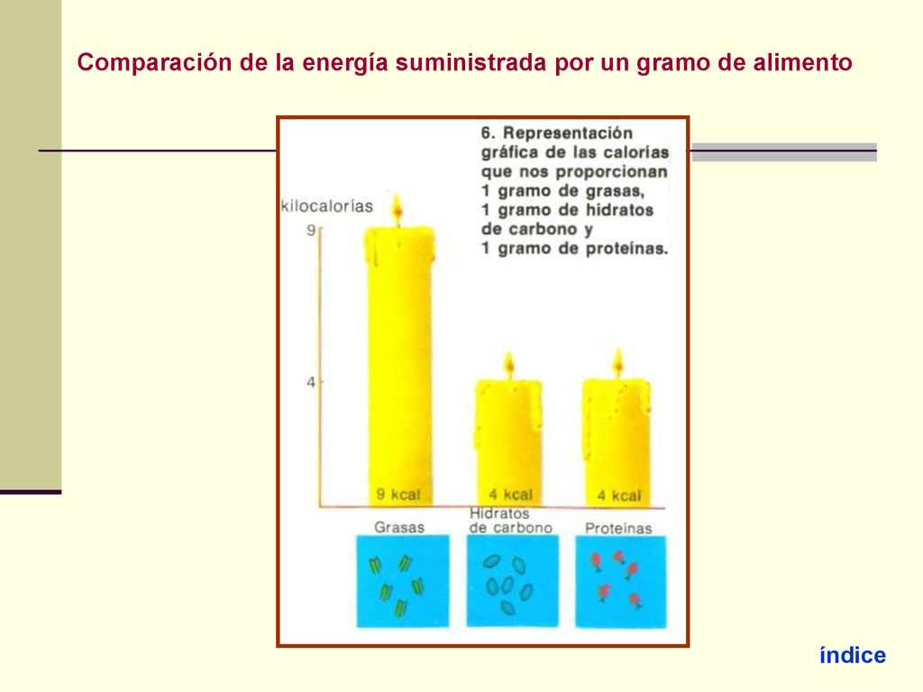 Comparación de la energía suministrada por un gramo de alimento