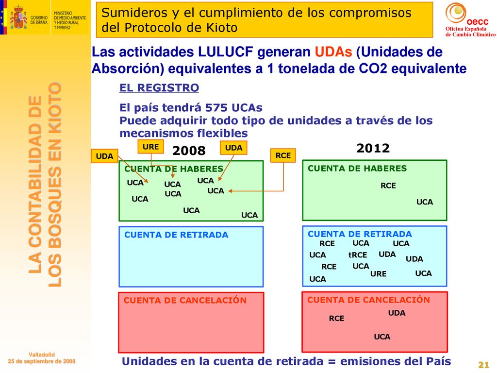 Sumideros y el cumplimiento de los compromisos del Protocolo de Kioto