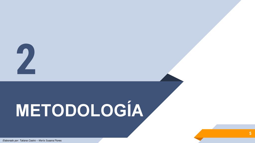 2 METODOLOGÍA Elaborado por: Tatiana Castro – María Susana Flores