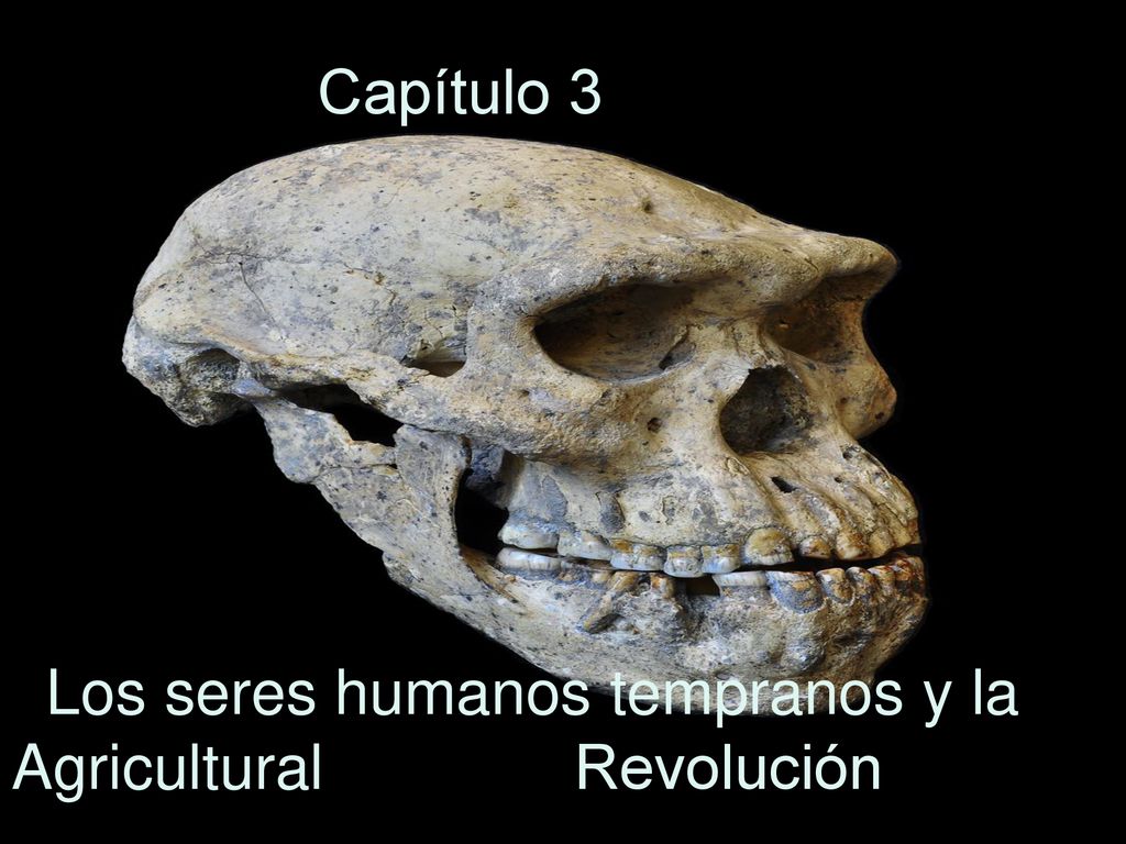 Capítulo 3 Los seres humanos tempranos y la Agricultural Revolución