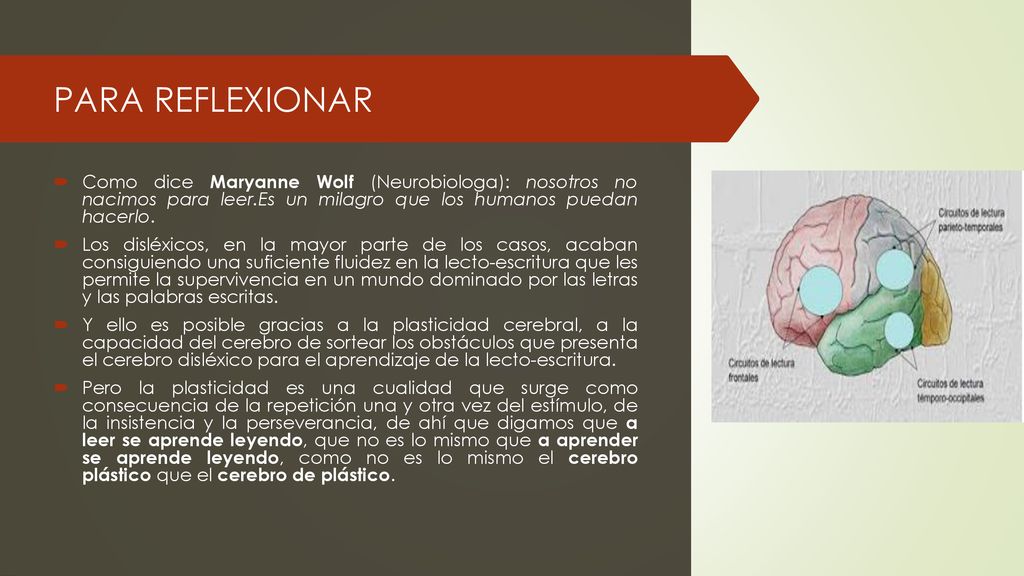 PARA REFLEXIONAR Como dice Maryanne Wolf (Neurobiologa): nosotros no nacimos para leer.Es un milagro que los humanos puedan hacerlo.