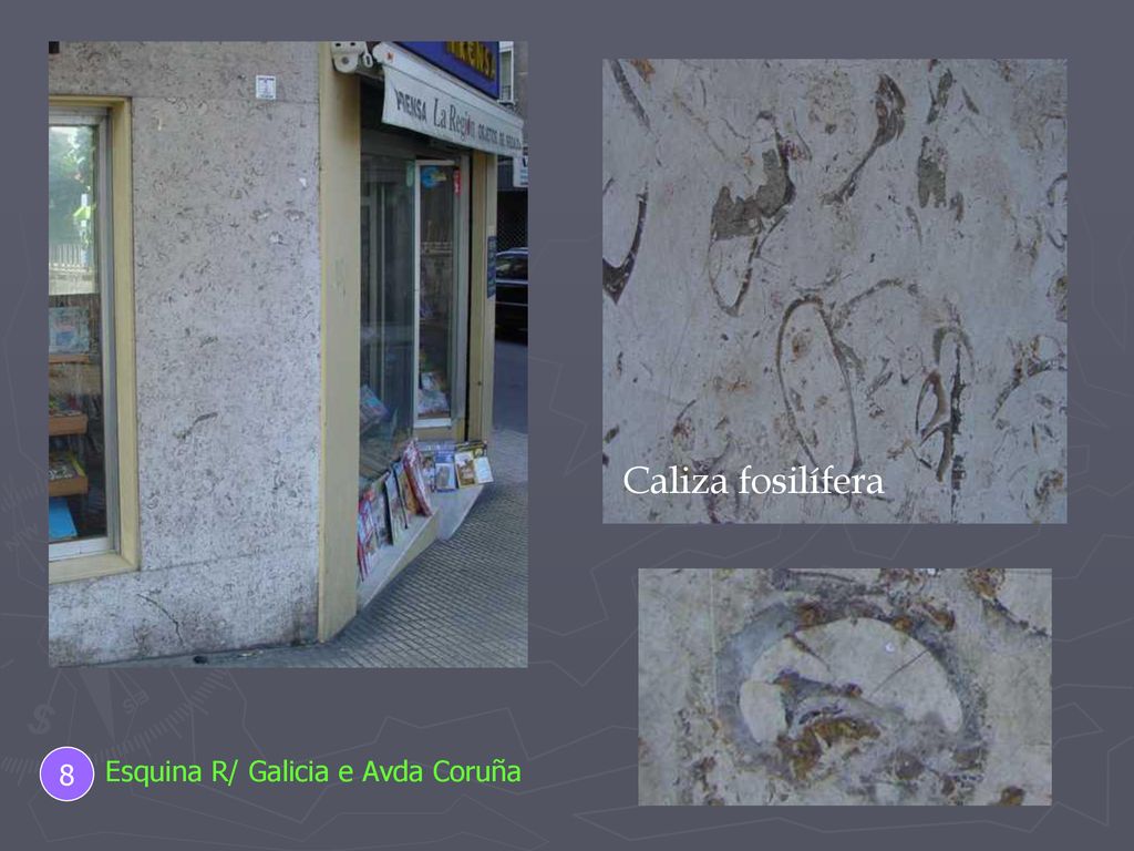 Caliza fosilífera 8 Esquina R/ Galicia e Avda Coruña
