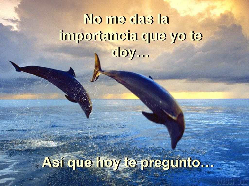 No me das la importancia que yo te doy… Así que hoy te pregunto…