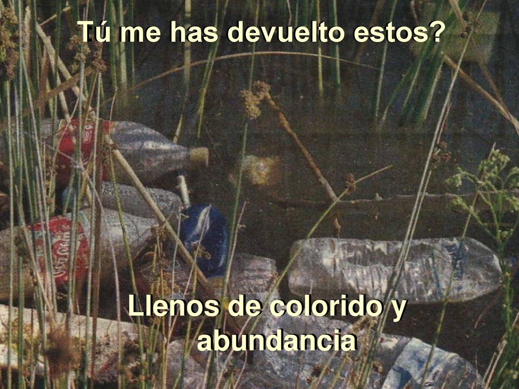 tú me has devuelto estos Tú me has devuelto estos