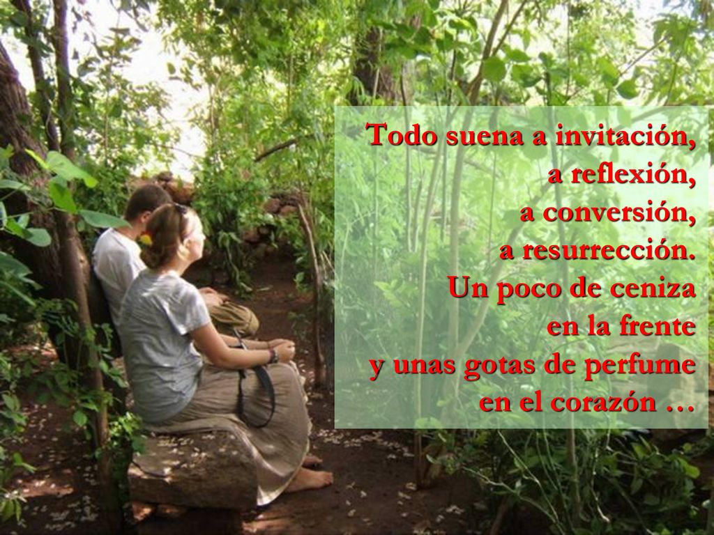 Todo suena a invitación, a reflexión, a conversión, a resurrección