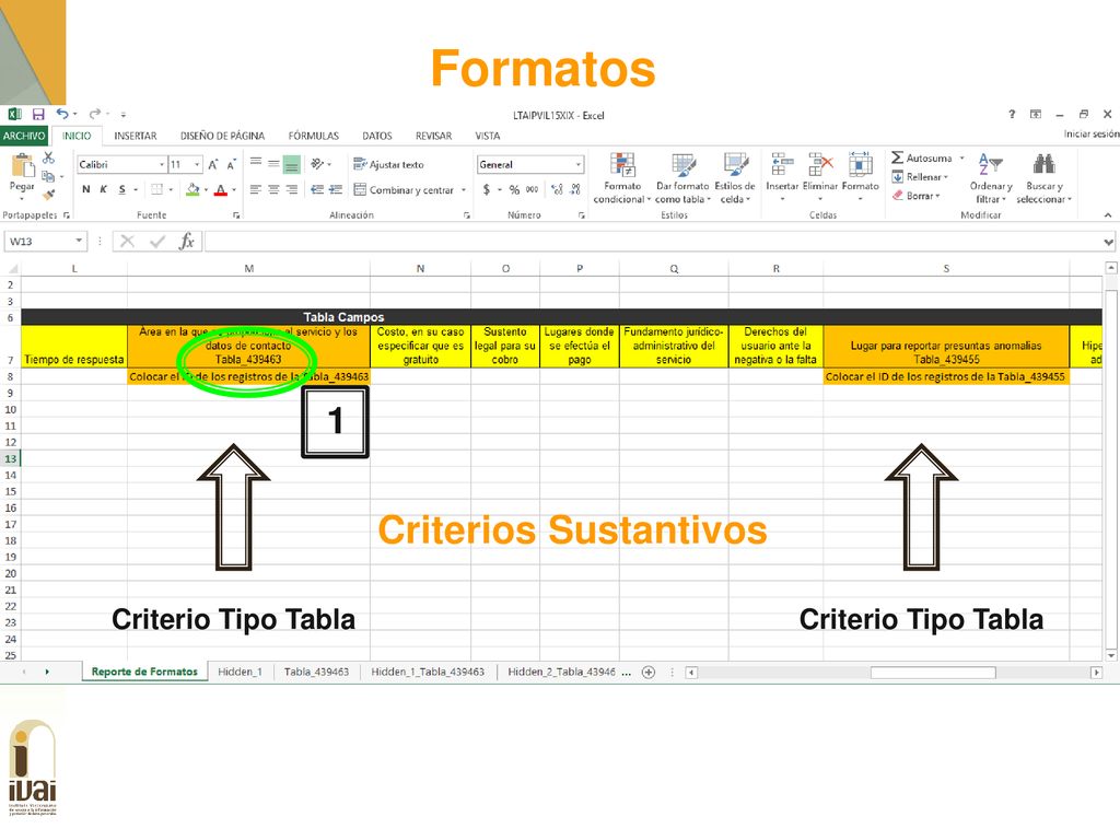 Formatos Criterios Sustantivos 1 Criterio Tipo Tabla