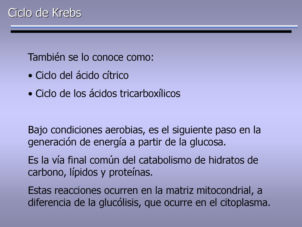 Ciclo de Krebs También se lo conoce como: Ciclo del ácido cítrico