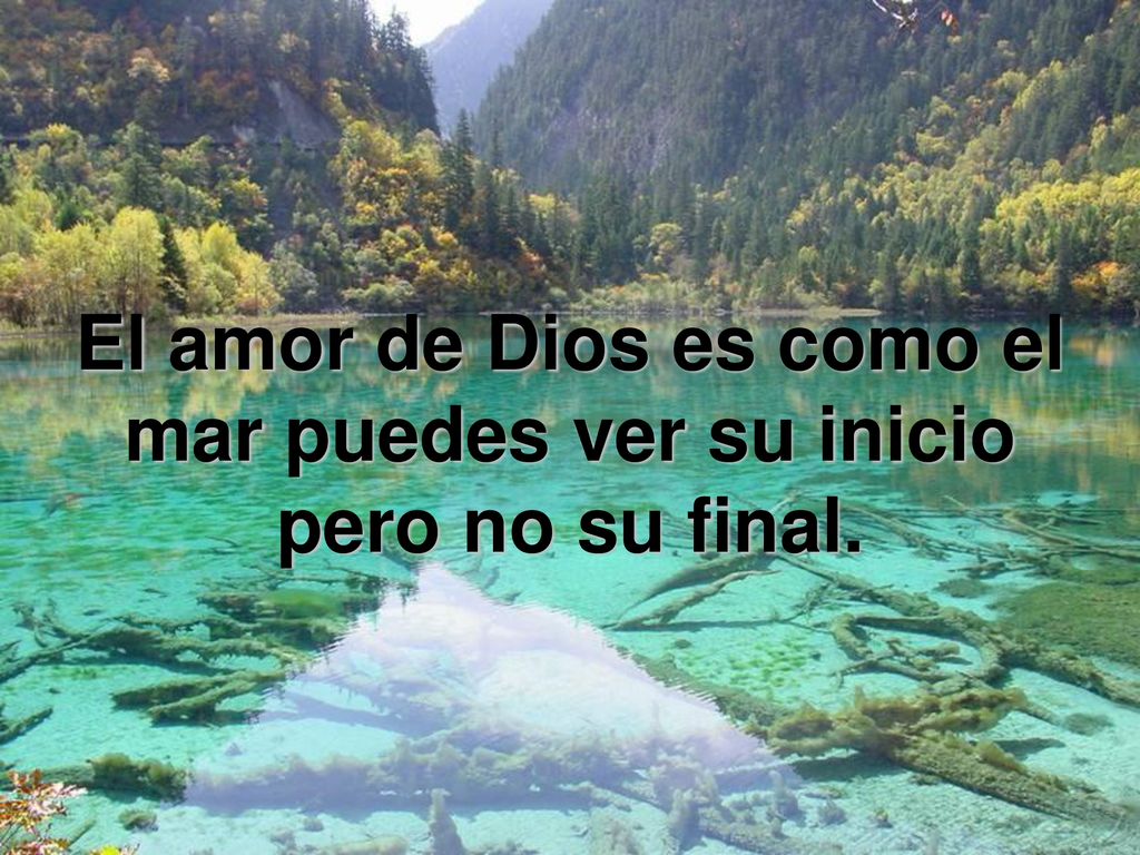 El amor de Dios es como el mar puedes ver su inicio pero no su final.