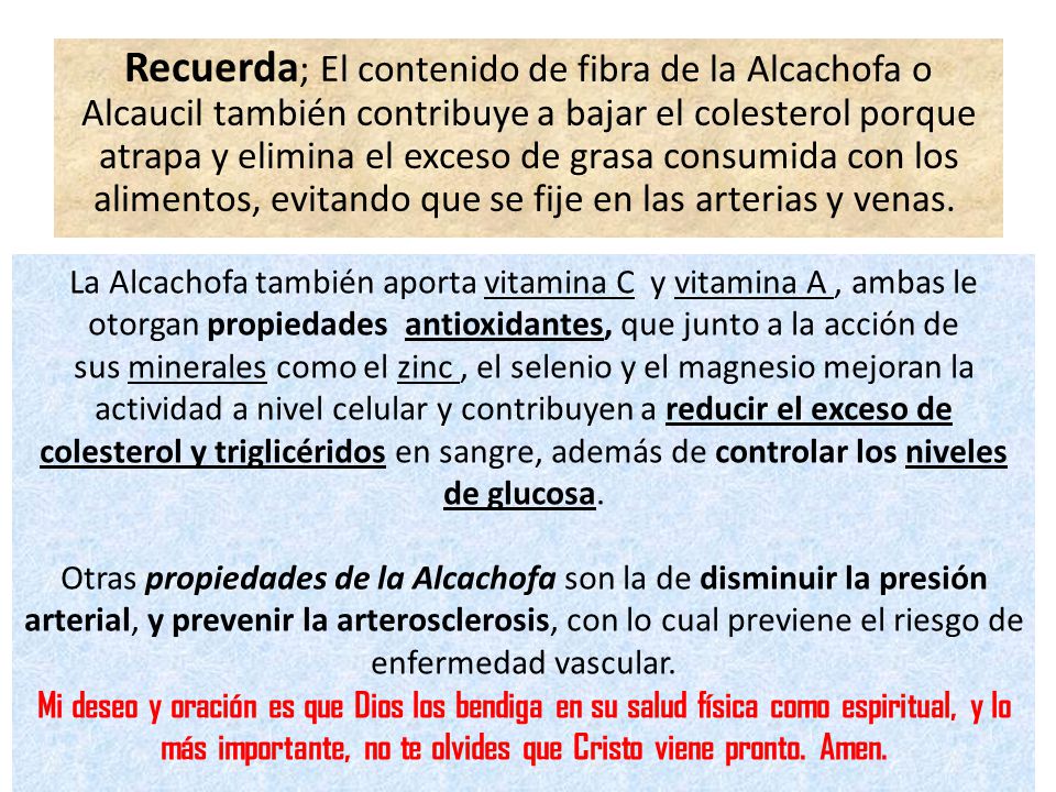 Recuerda; El contenido de fibra de la Alcachofa o Alcaucil también contribuye a bajar el colesterol porque atrapa y elimina el exceso de grasa consumida con los alimentos, evitando que se fije en las arterias y venas.