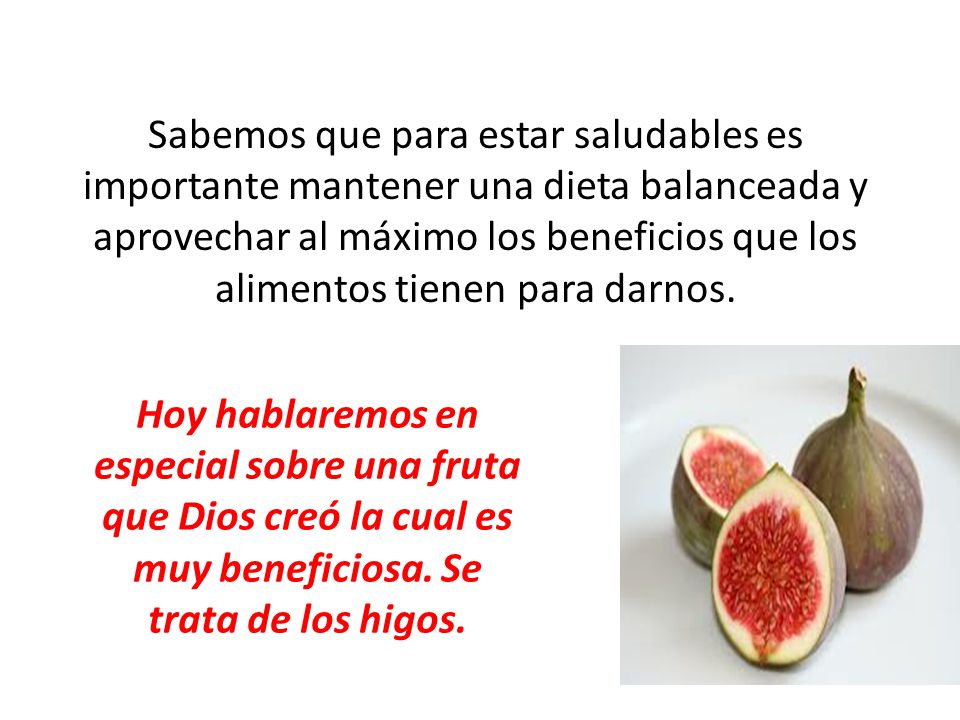 Sabemos que para estar saludables es importante mantener una dieta balanceada y aprovechar al máximo los beneficios que los alimentos tienen para darnos.