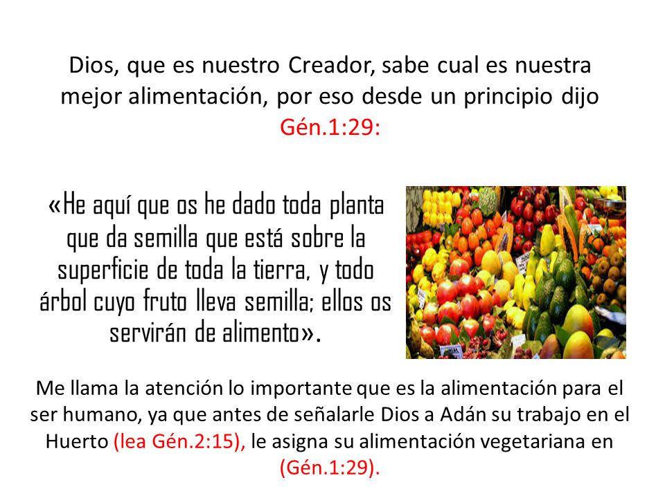 Dios, que es nuestro Creador, sabe cual es nuestra mejor alimentación, por eso desde un principio dijo Gén.1:29: