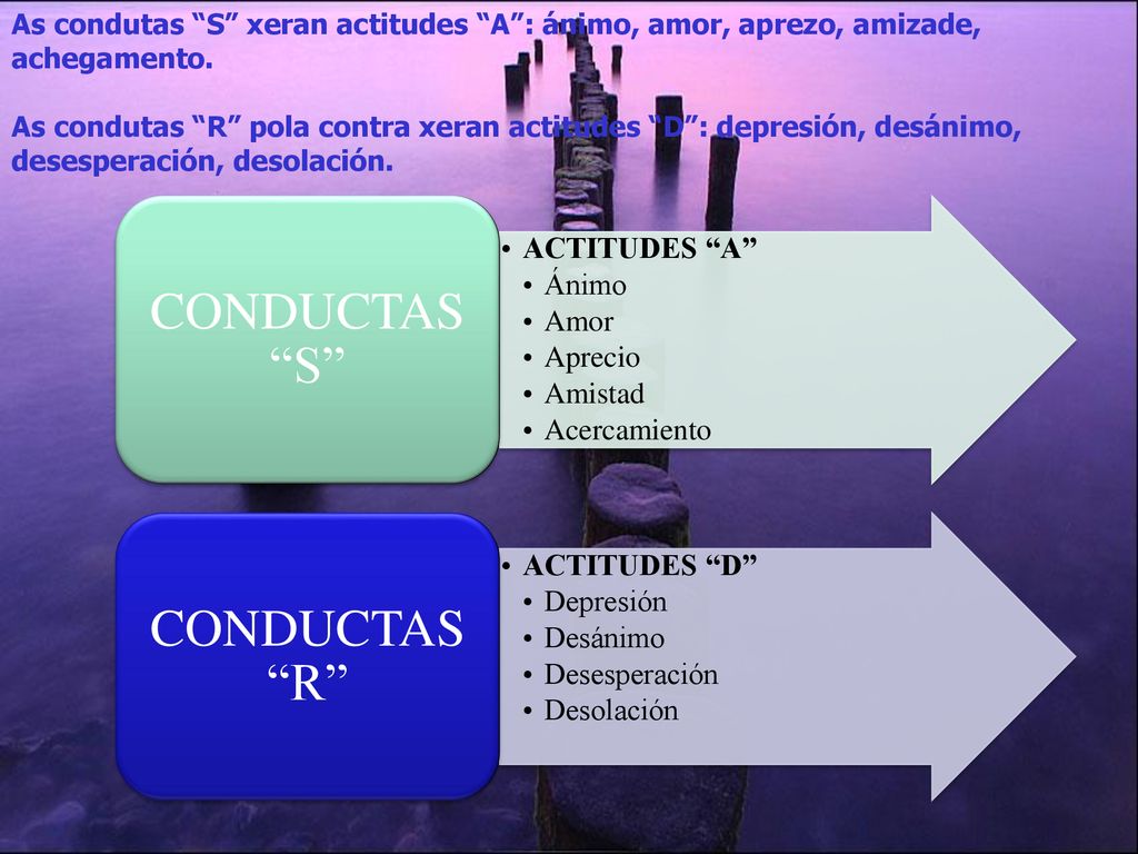 CONDUCTAS S CONDUCTAS R ACTITUDES A Ánimo Amor Aprecio Amistad