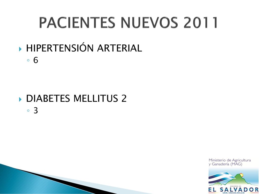 PACIENTES NUEVOS 2011 HIPERTENSIÓN ARTERIAL 6 DIABETES MELLITUS 2 3
