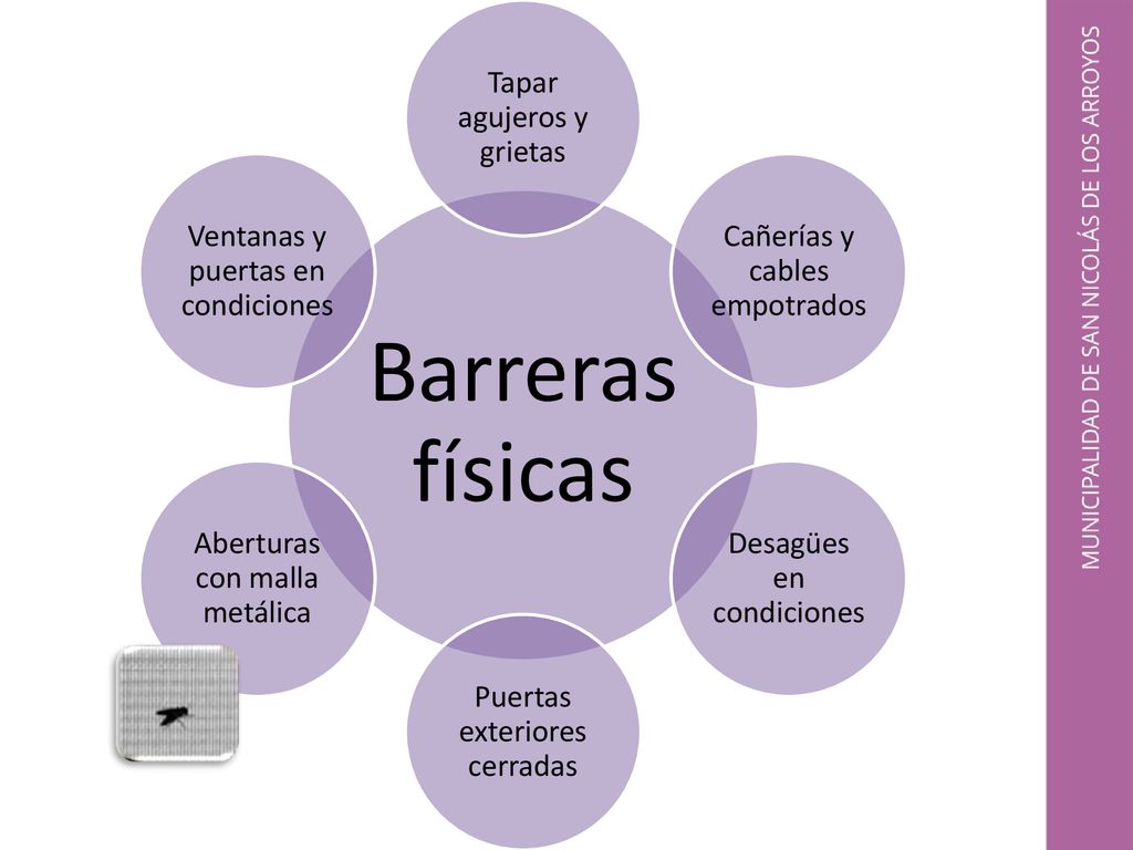 Barreras físicas Tapar agujeros y grietas Cañerías y cables empotrados